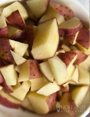Menu Container/Small Space Vegetable Garden 11 Menu Container/Small Space Vegetable Garden - Image 11