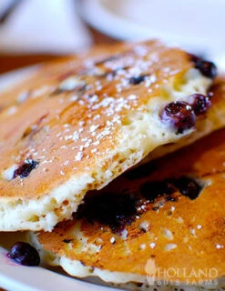 Menu Jersey Blueberry Plant 4 Menu Jersey Blueberry Plant -Cheap Garden Twist Store 75120 jersey blueberry plant 2