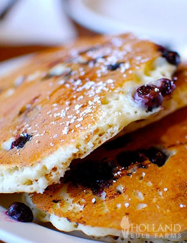 Menu Jersey Blueberry Plant 2 Menu Jersey Blueberry Plant - Image 2