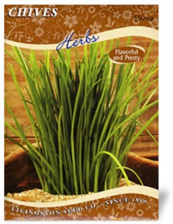 Menu Container/Small Space Vegetable Garden 19 Menu Container/Small Space Vegetable Garden -Cheap Garden Twist Store 75130 small space garden 4