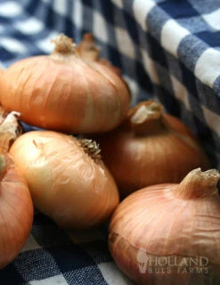 Menu Large Vegetable Garden Collection -Cheap Garden Twist Store 75133 large vegetable garden 6