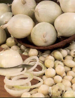 Menu Large Vegetable Garden Collection -Cheap Garden Twist Store 75133 large vegetable garden 7