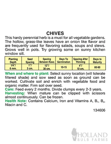 Menu Container/Small Space Vegetable Garden 14 Menu Container/Small Space Vegetable Garden - Image 14