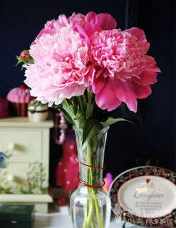 Menu Peony Collection -Cheap Garden Twist Store 77477 sarah bernhardt peony 3 1