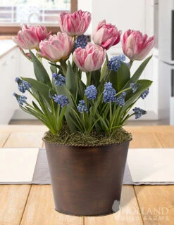 Menu Magical Fox Potted Bulb Garden